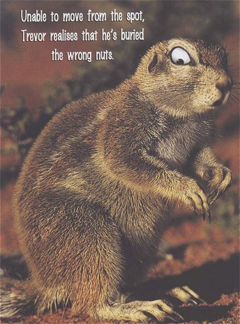 Trevor the squirrel
